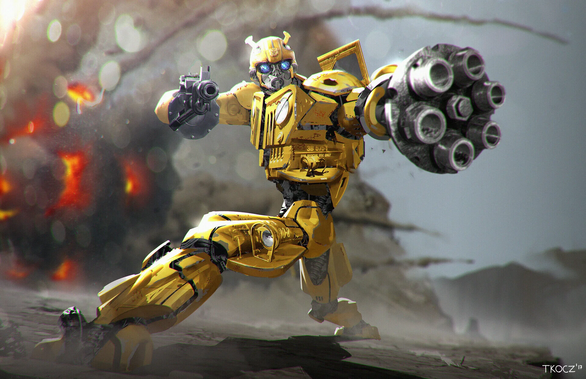 matt-tkocz-bumblebeeopening-cha-170509-v06-mnt-1.jpg